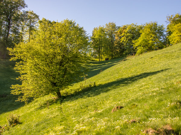 Blick zum Mägdefleck