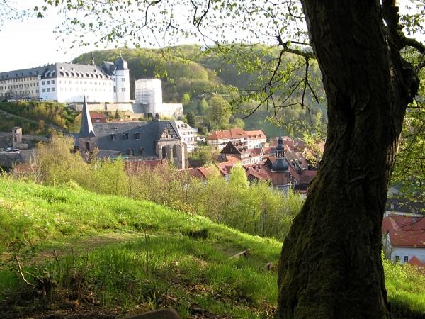 Blick auf das Stolberger Schloss vom unteren Bandweg