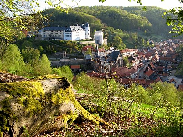 Blick von der Lutherbuche