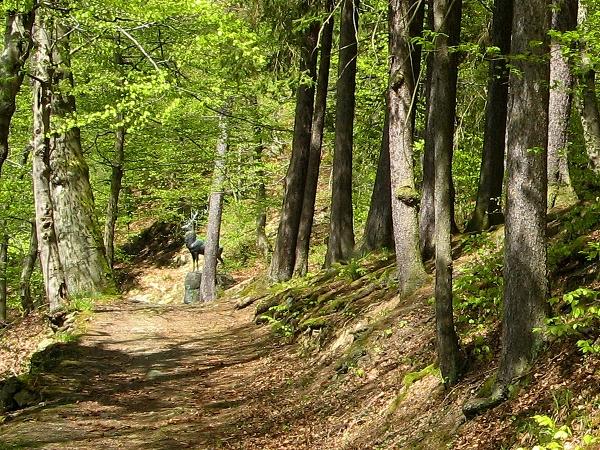 über die Hirschallee spaziert man vom Schloss zum Hirschdenkmal