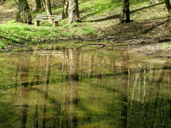 Röhrenteich bei Stolberg Harz