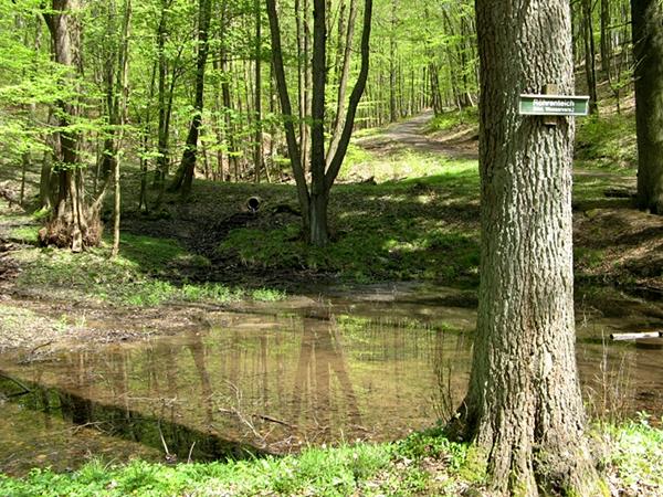 Röhrenteich bei Stolberg Harz