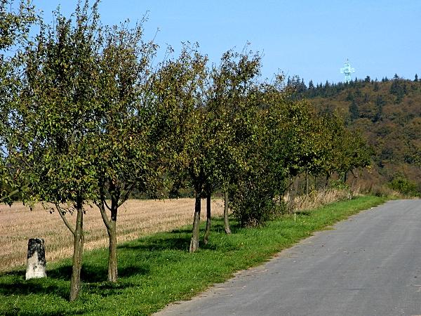 Blick zum Josephskreuz auf dem Auerberg