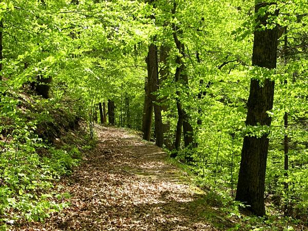 auf dem Paul Hepach-Weg zurück zum Stolberger Schloss