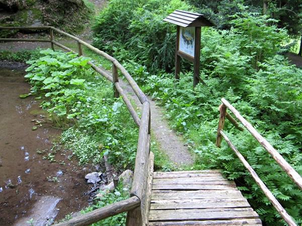 an einem kleinen Teich und einer Grotte beginnt die Entdeckungstour durch den Harzgarten