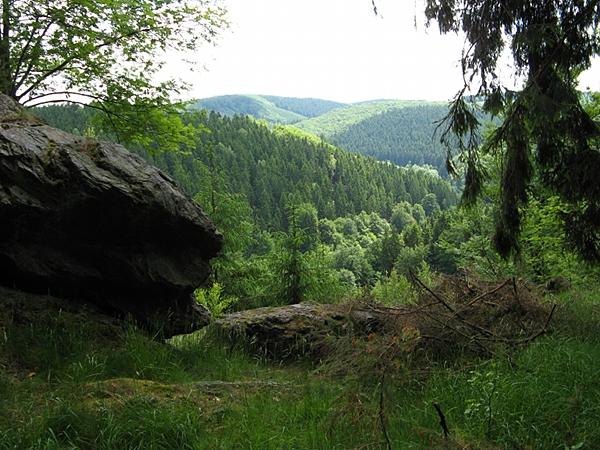 Blick ins Krummschlachttal bei Stolberg Harz