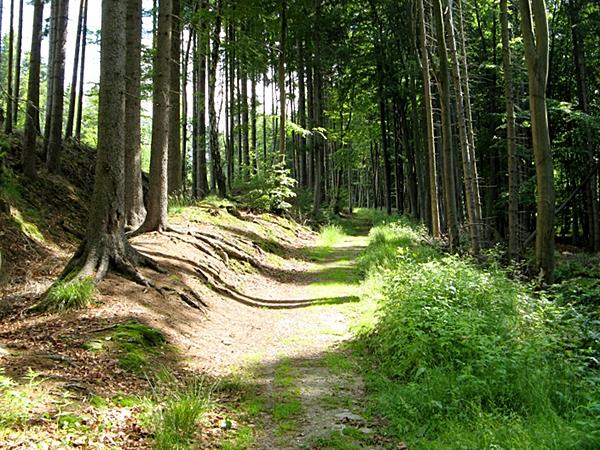 Aufstieg durch das Zechental zu den Sieben Wegen