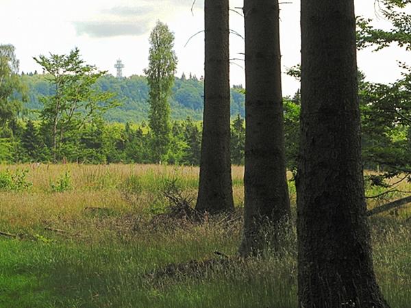 Blick aus dem Umgebung auf das Josephskreuz