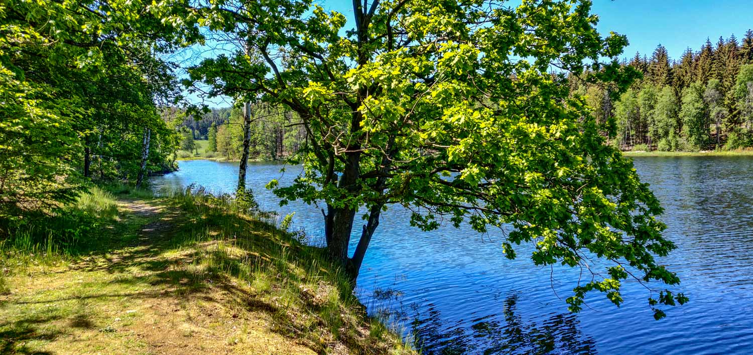 Am Frankenteich