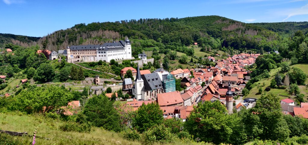 Blick von der Lutherbuche