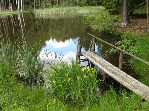 Waldsee an der Breitensteiner Chaussee