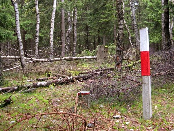 Topografischer Punkt am Birkenkopf bei Stolberg Harz