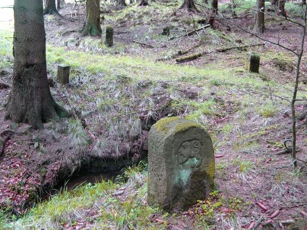 Alter Grenzverlauf im Wald