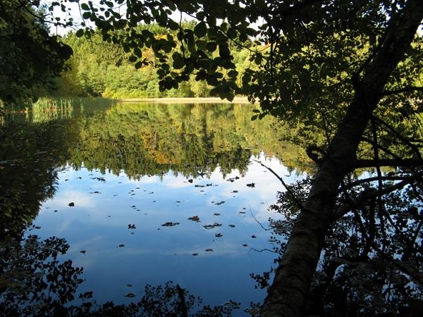 Blick über den Gräfingründer Teich