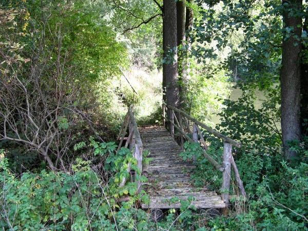 Abenteuerlicher Weg zum Maliniusteich