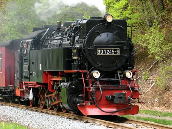 Harzquerbahn am Bahnhof Netzkater