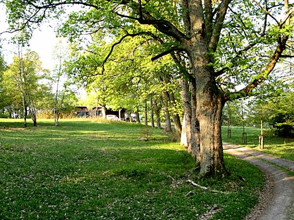 Am Platz des ehemaligen Forsthauses Eichenforst steht heute ein Ferienhaus