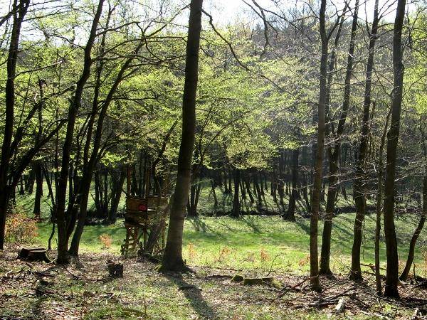 Im idyllischen Wolfsbachtal