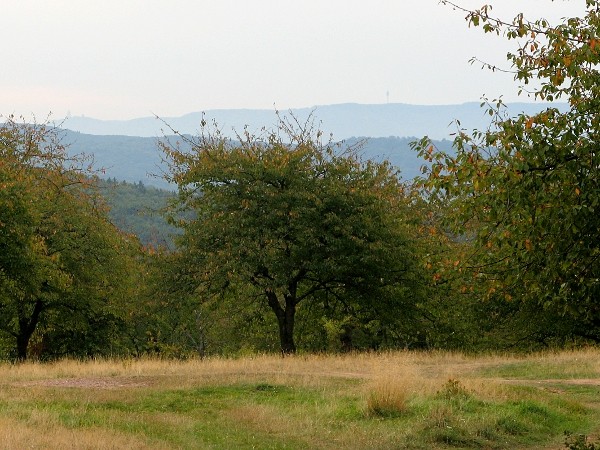 Blick über die goldene Aue bis zum Kyffhäusergebirge