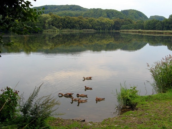 Schloßteich in Rottleberode