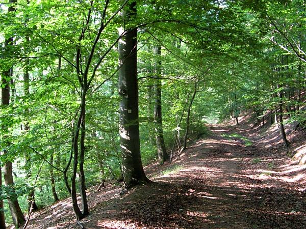 Kantenweg zum Schloss oberhalb des kalten Tales