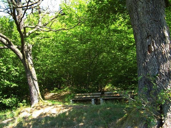 Zwei Bänke unter schattigen alten Bäumen laden an der Dornröschenbank zur Rast ein