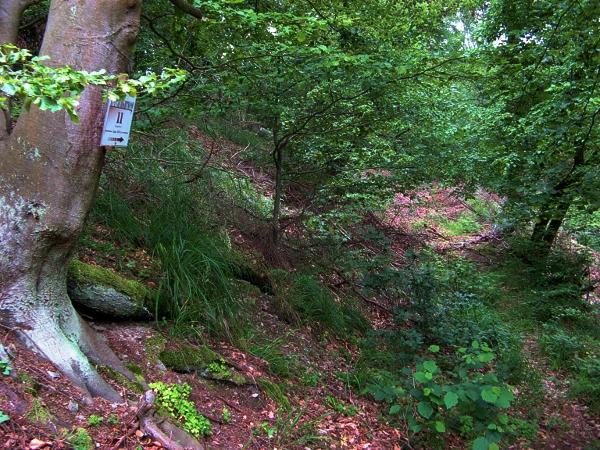 Güntersberger Stadtweg durch das Kalte Tal