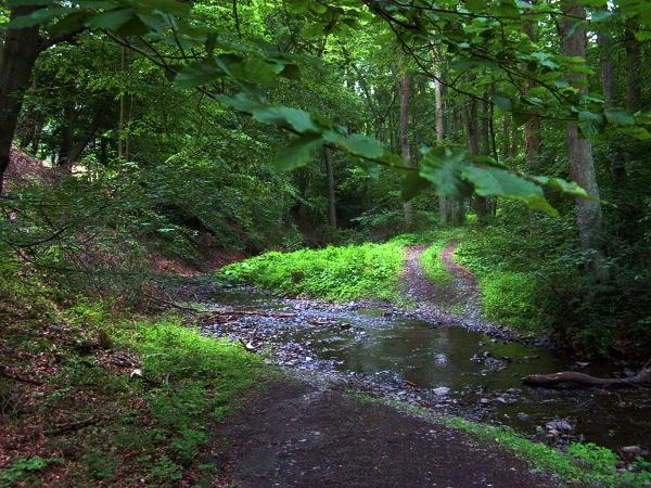 Flussquerung durch die Große Wilde im Kalten Tal