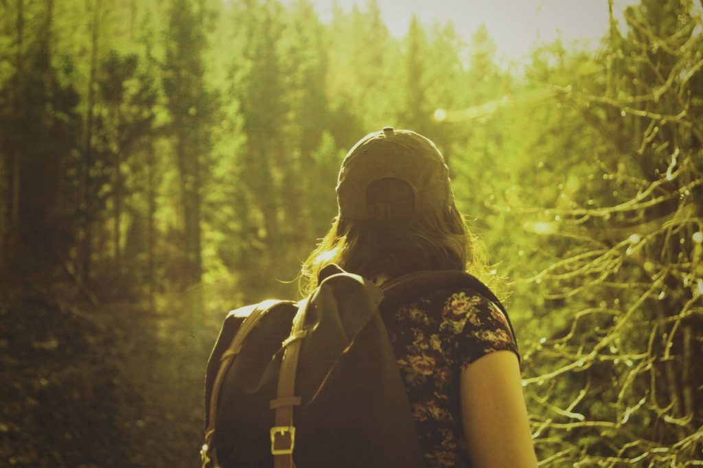 Wandern im Harz